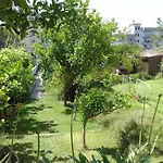 Villino Michel וילה
